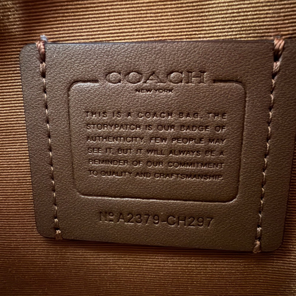 Coach Mini Darcie Carryall Bag in Pistachio Green - Picture 13 of 16